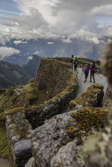 Hero banner background