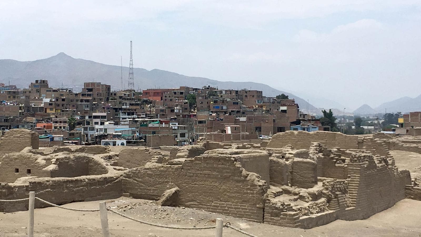 Banner image of Lima Day Tour: Pachacamac and Peruvian Paso Horse Show (full day)
