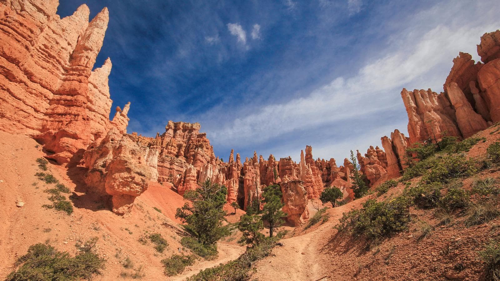 Banner image of USA Road Trip: Big Cities & West Coast Parks