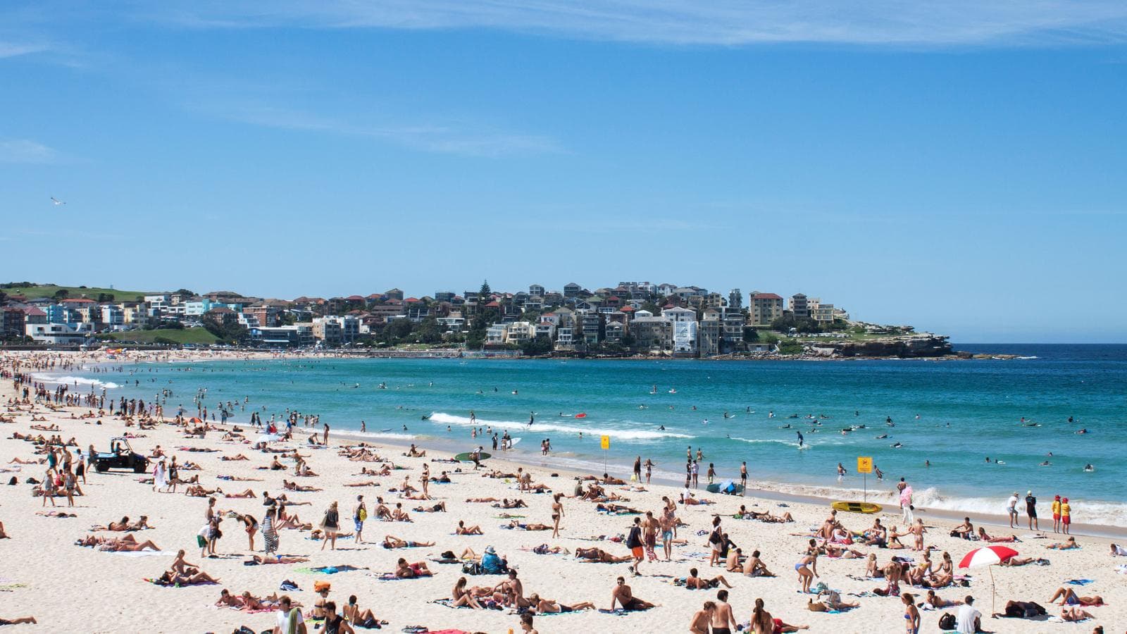 Banner image of Australia & New Zealand:  A Month Down Under