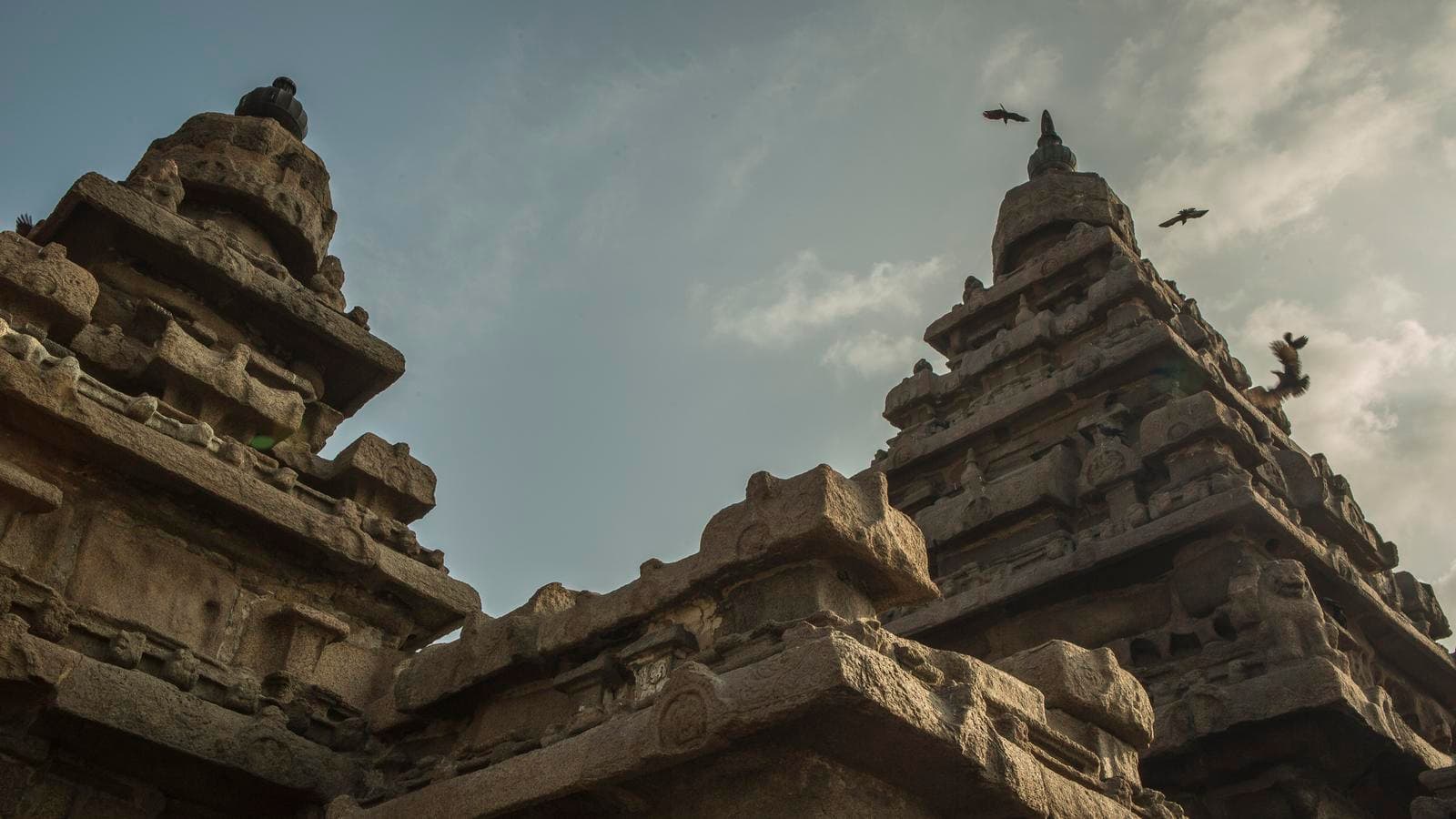 Banner image of Southern India: West to East Coast