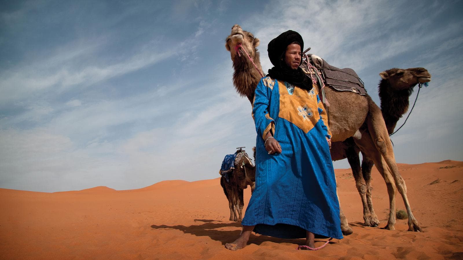 Banner image of The Best of Morocco