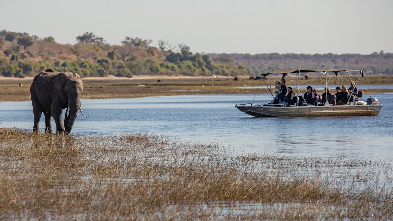 Banner image of Zimbabwe & Botswana: Chobe, Hwange & Lake Kariba