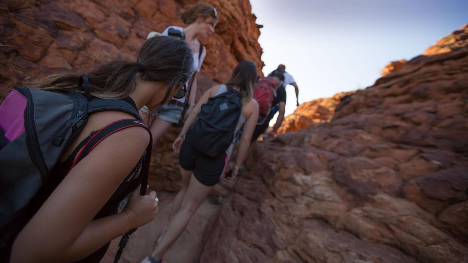 Banner image of Red Centre Experience