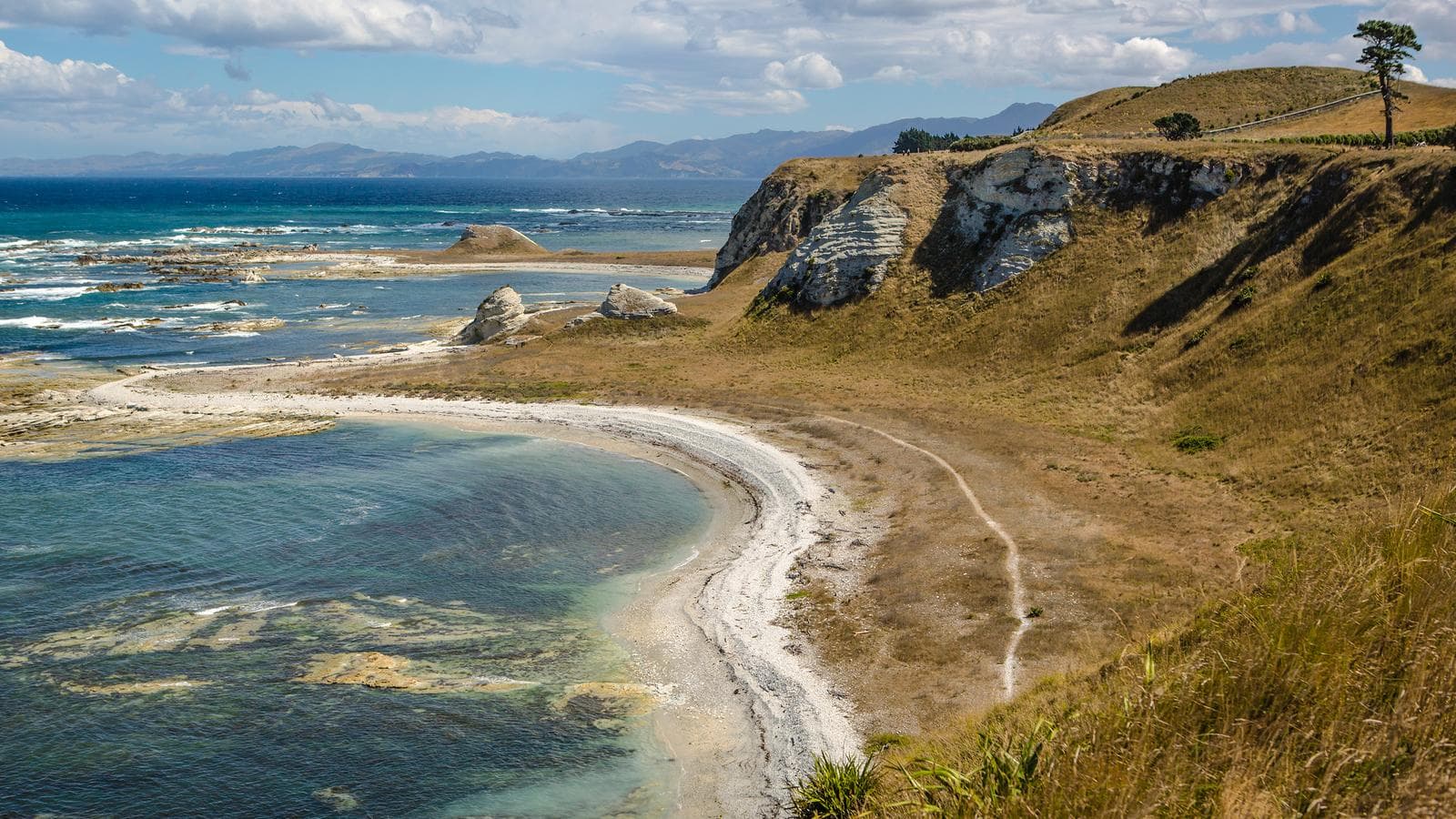 Banner image of Highlights of New Zealand