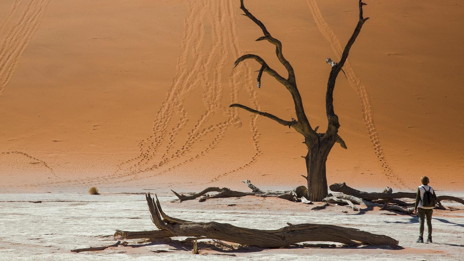 Banner image of Dunes, Deltas & Falls Discoverer