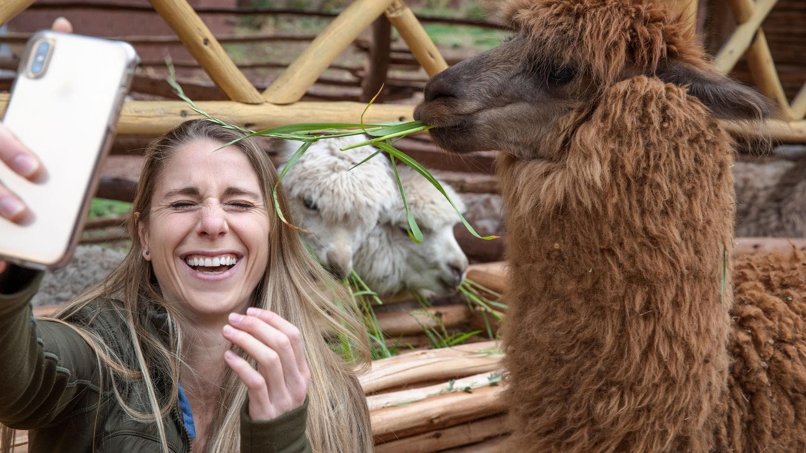 Banner image of Inca Adventure: Cusco, Machu Picchu & the Best Views Ever
