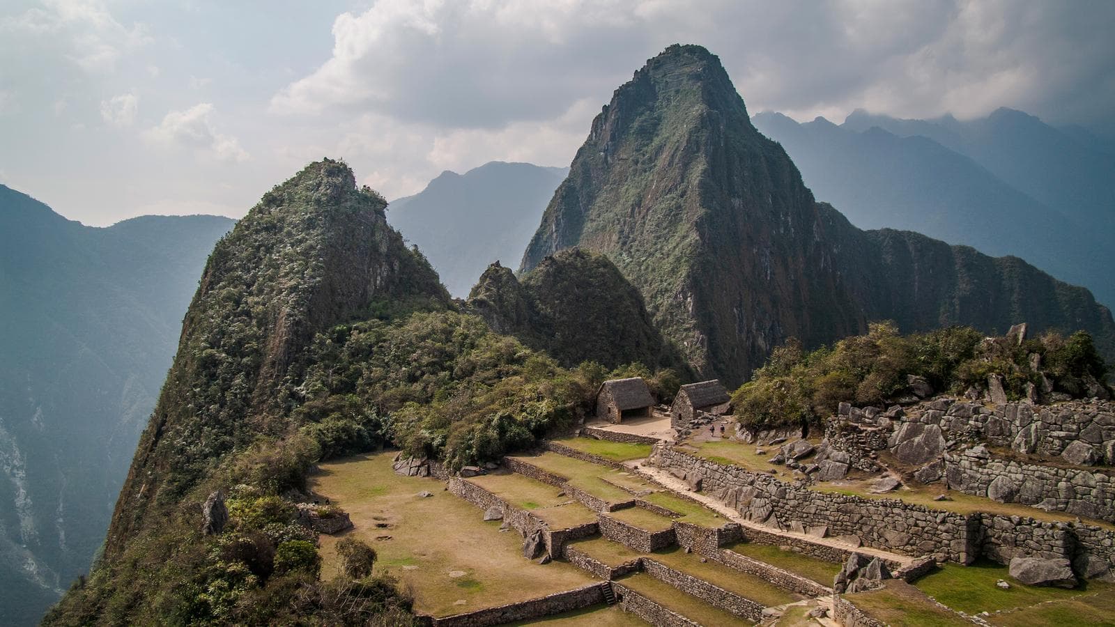 Banner image of Inca Discovery Plus