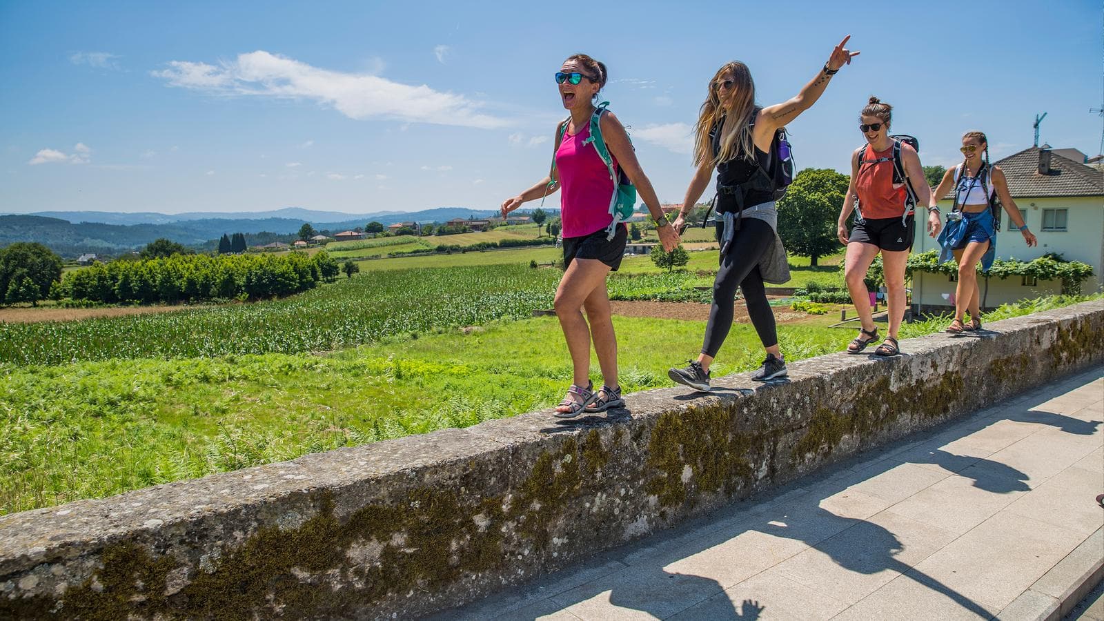 Banner image of Walk the Camino de Santiago — Plus