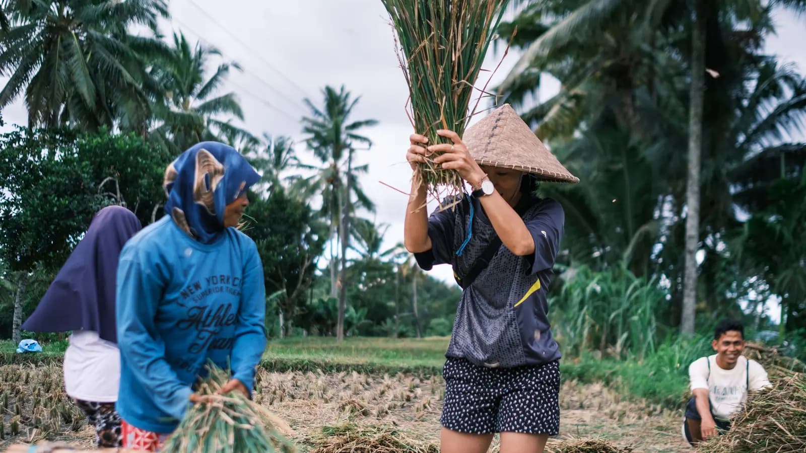 Banner image of Lombok & Gili Adventure: Culture, Peaks & Paradise