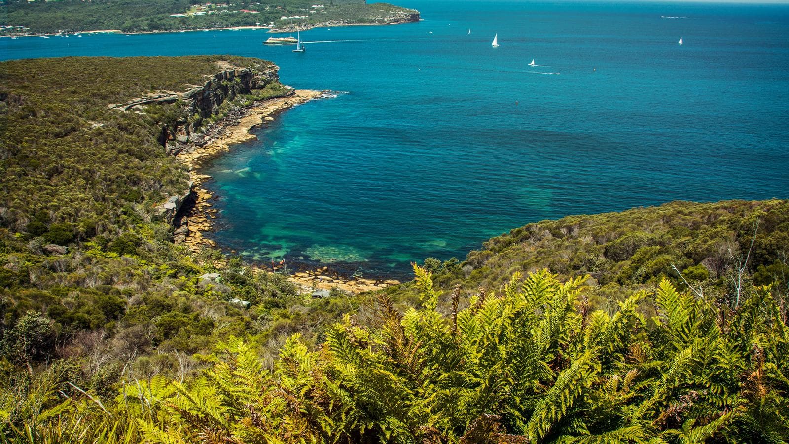 Banner image of Sydney Roundtrip: Australia's Greatest Hits