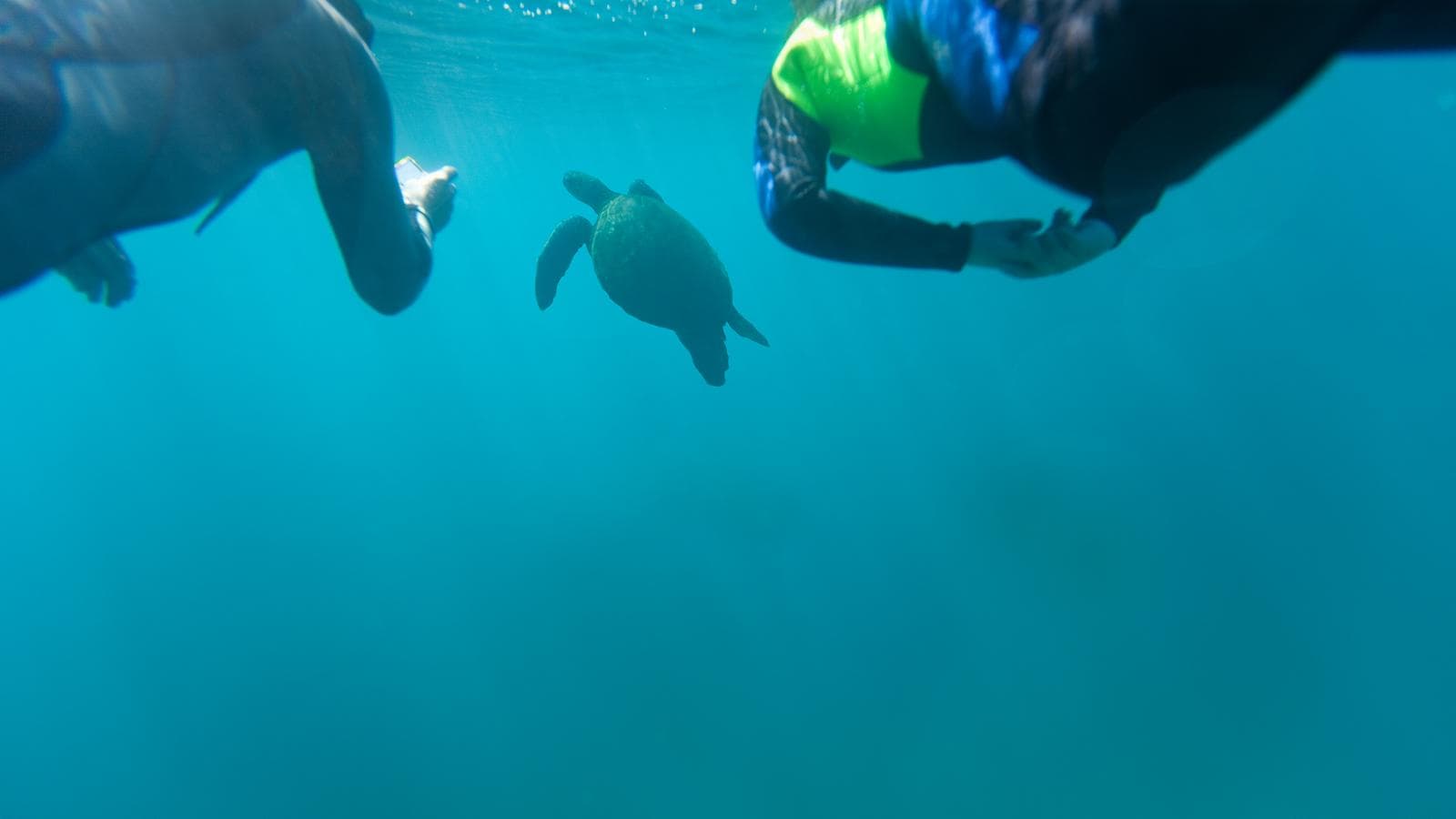 Banner image of Galápagos Multisport