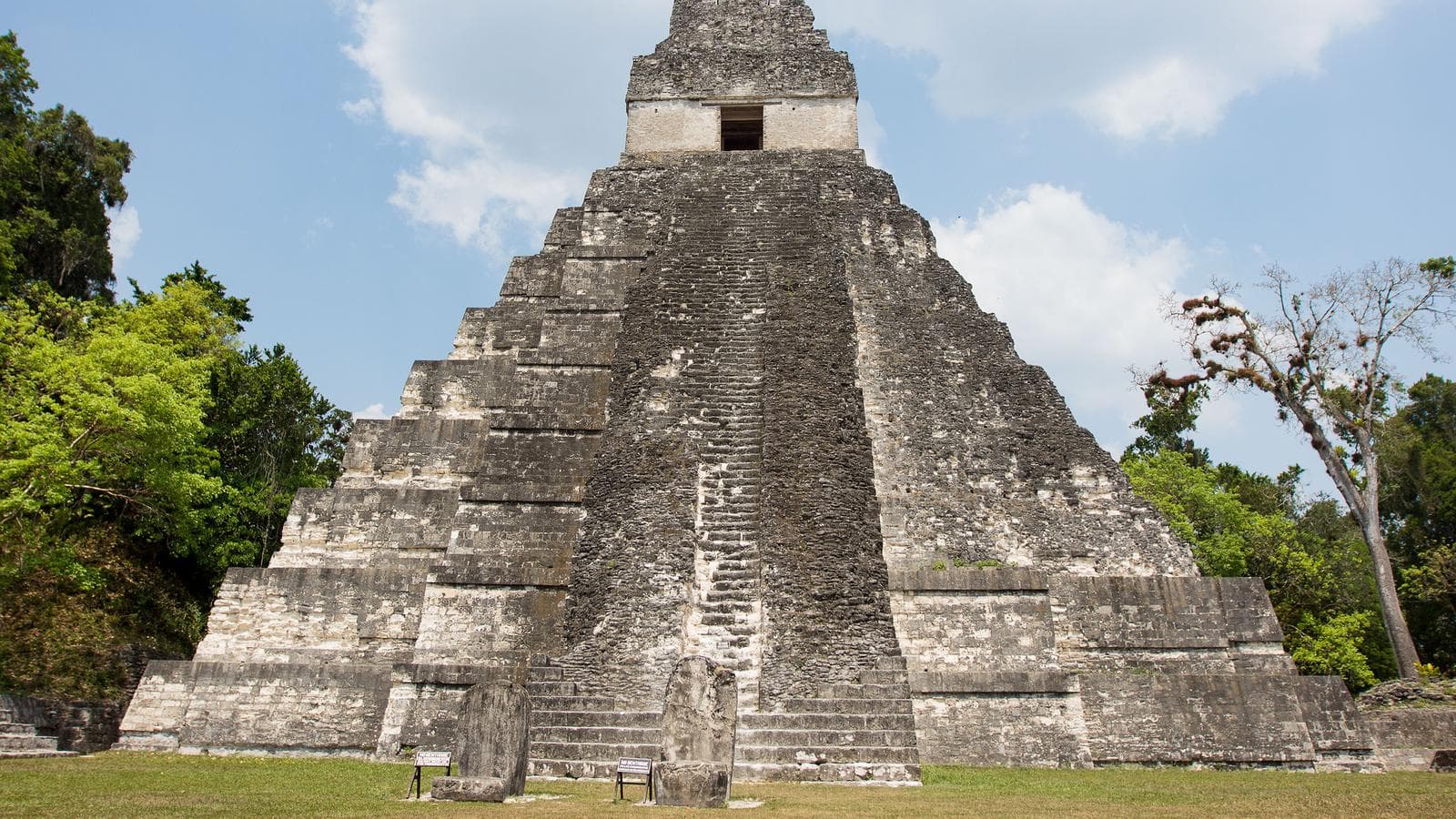 Banner image of Mayan Encounter
