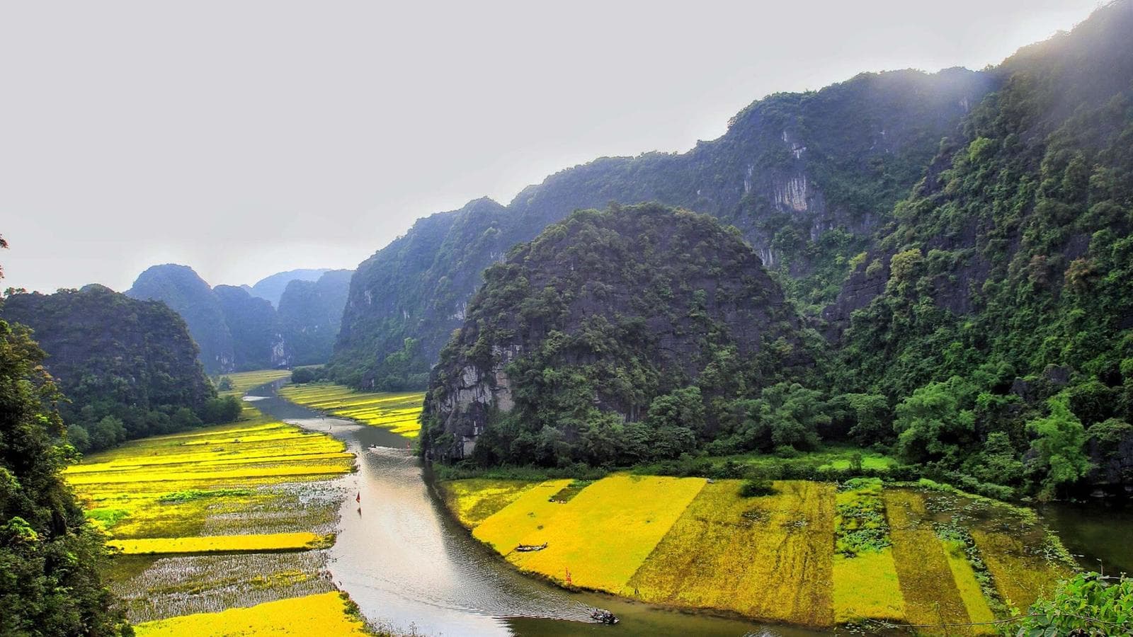 Banner image of Hanoi Day Tour: Hao Lu and Tam Coc (Ninh Binh) (full day)