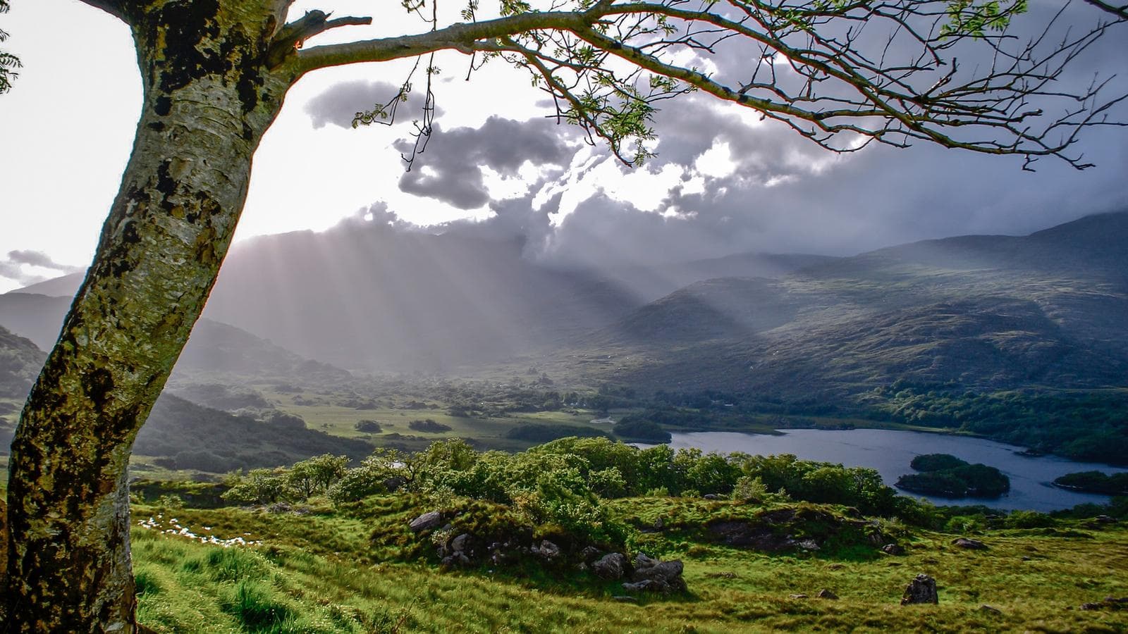 Banner image of Ireland Explorer
