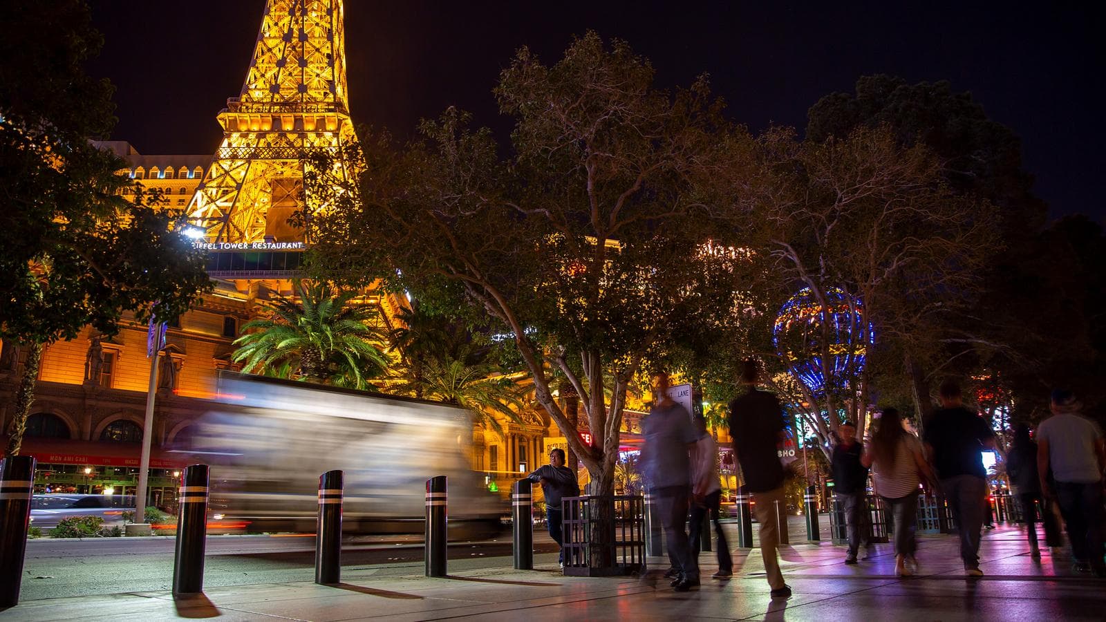 Banner image of USA Road Trip: San Diego, Grand Canyon & Vegas