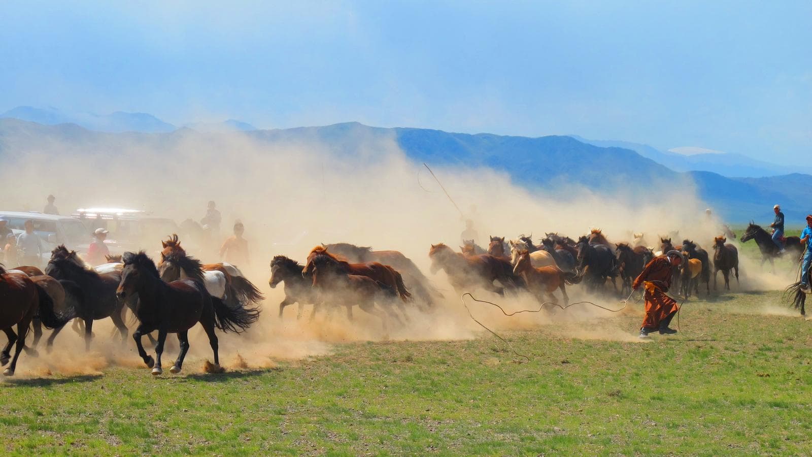 Banner image of Naadam Festival Mongolia