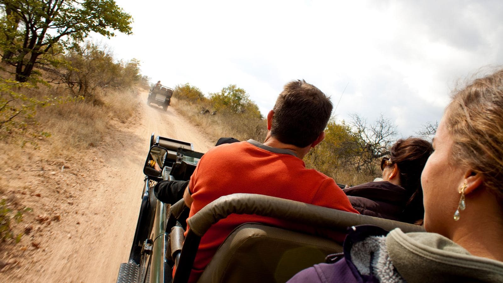 Banner image of Ultimate African Safari: Kruger, Hwange, Chobe, & the Okavango Delta