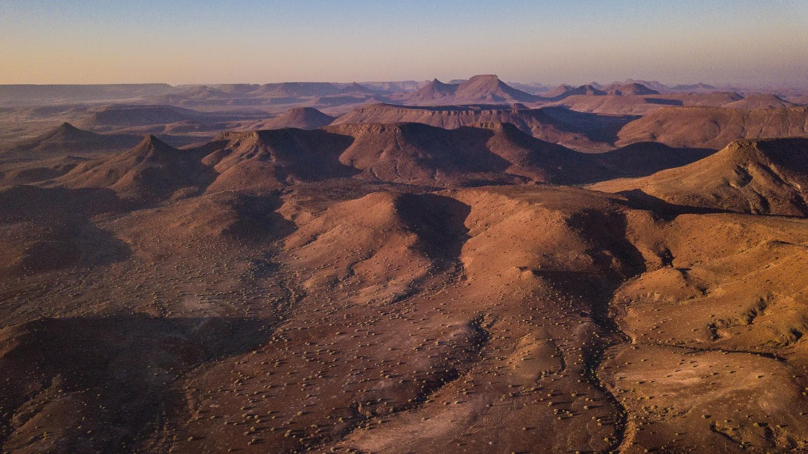 Banner image of Cape and Namibia Adventure