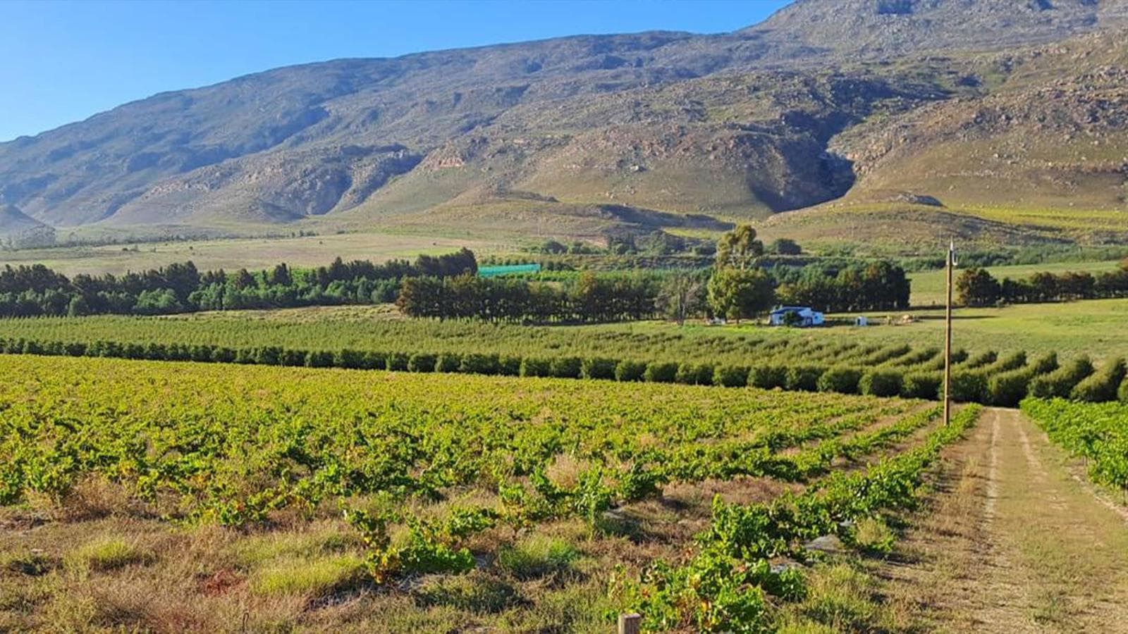 Banner image of South Africa: The Garden Route