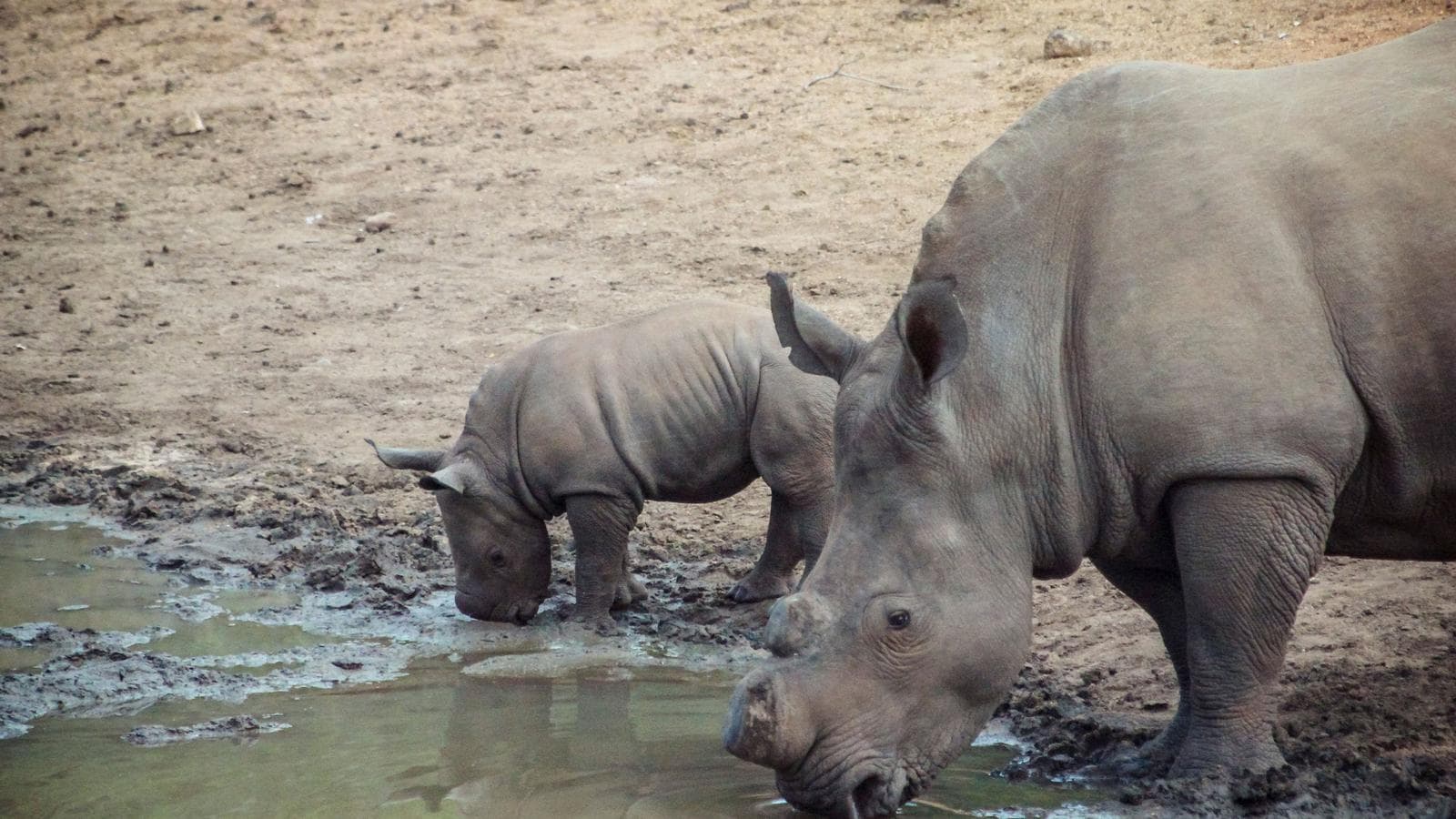 Banner image of Southern Africa Overland Safari & Participation Camping