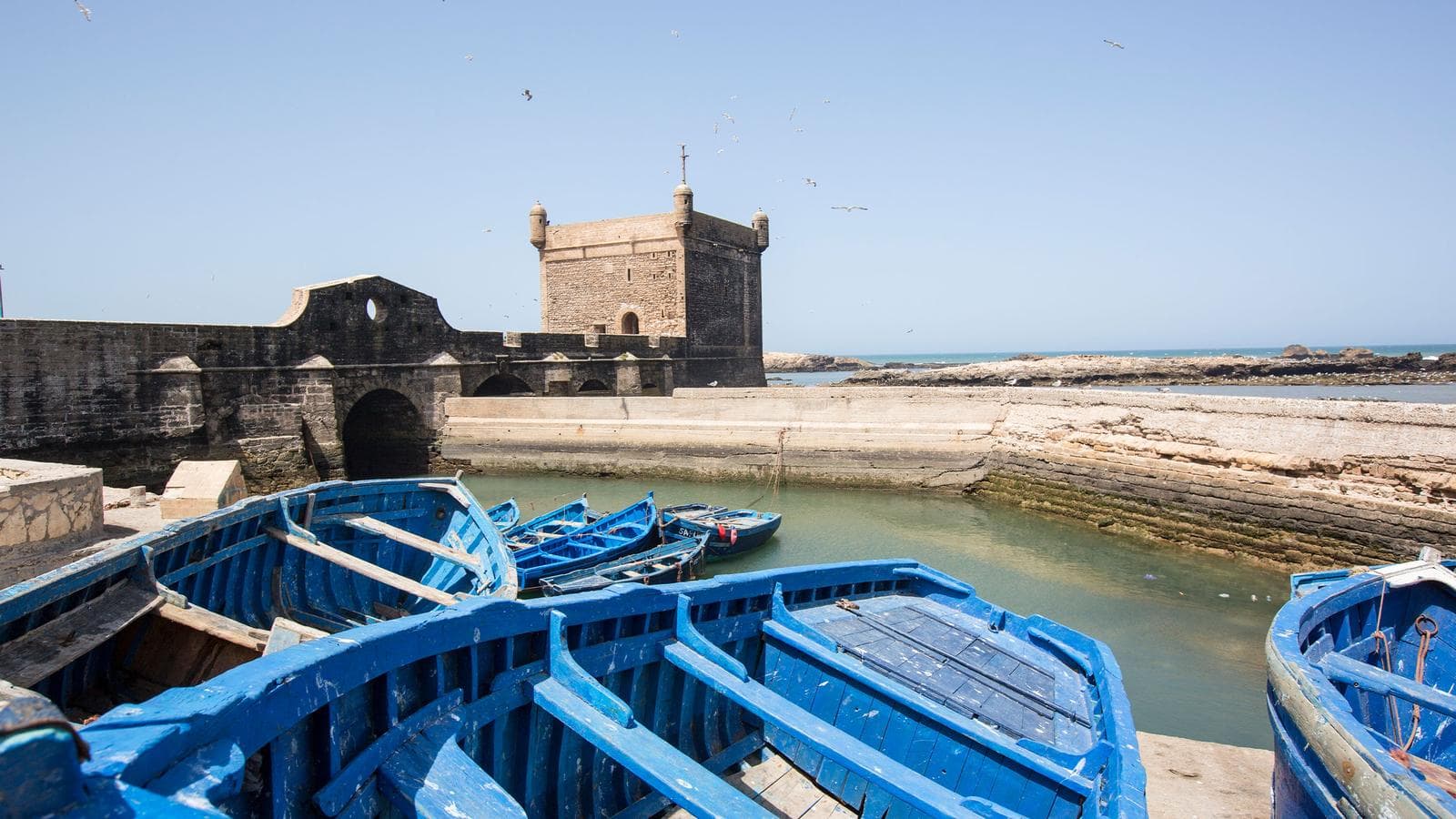 Banner image of Moroccan Coast Explorer
