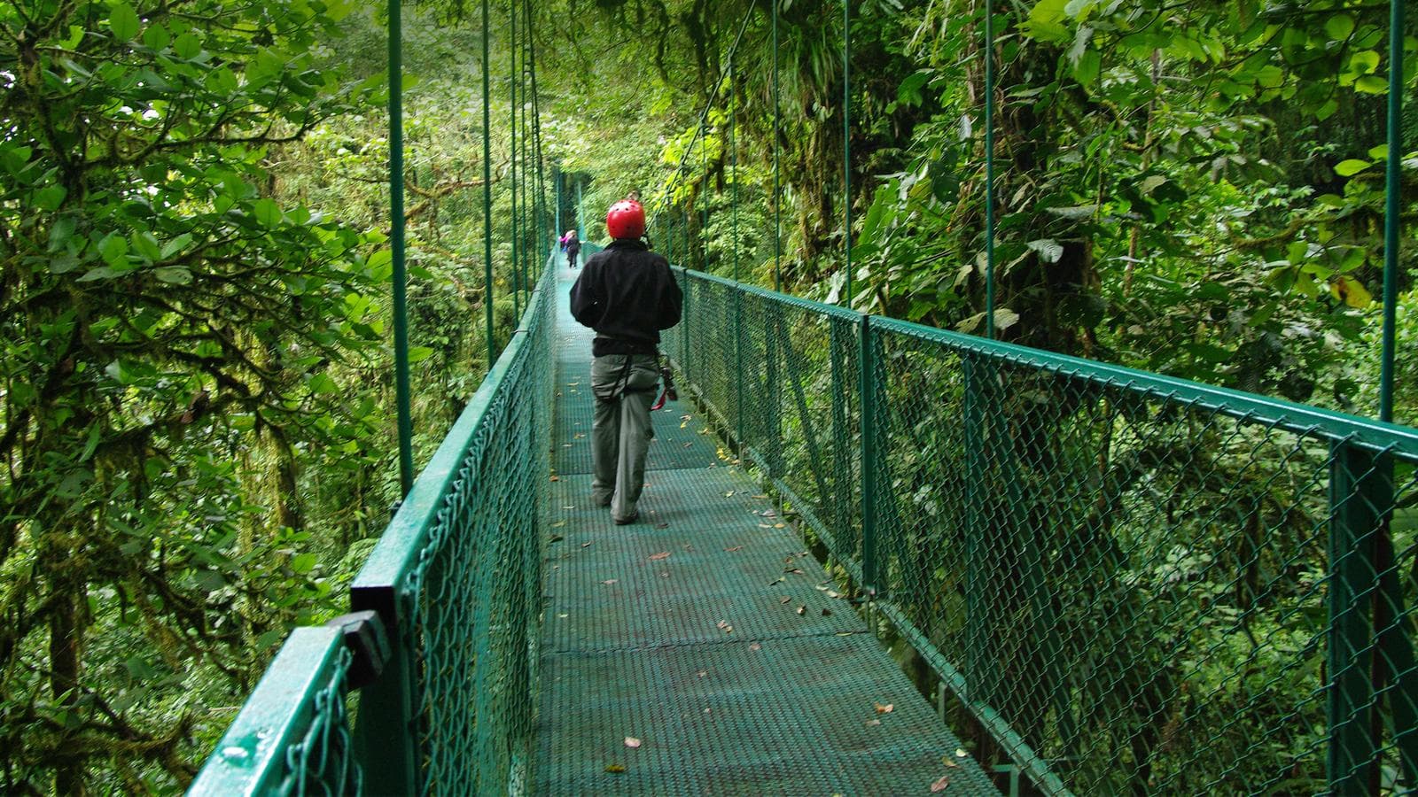 Banner image of Back Roads of Central America: Craters & Community Guesthouses