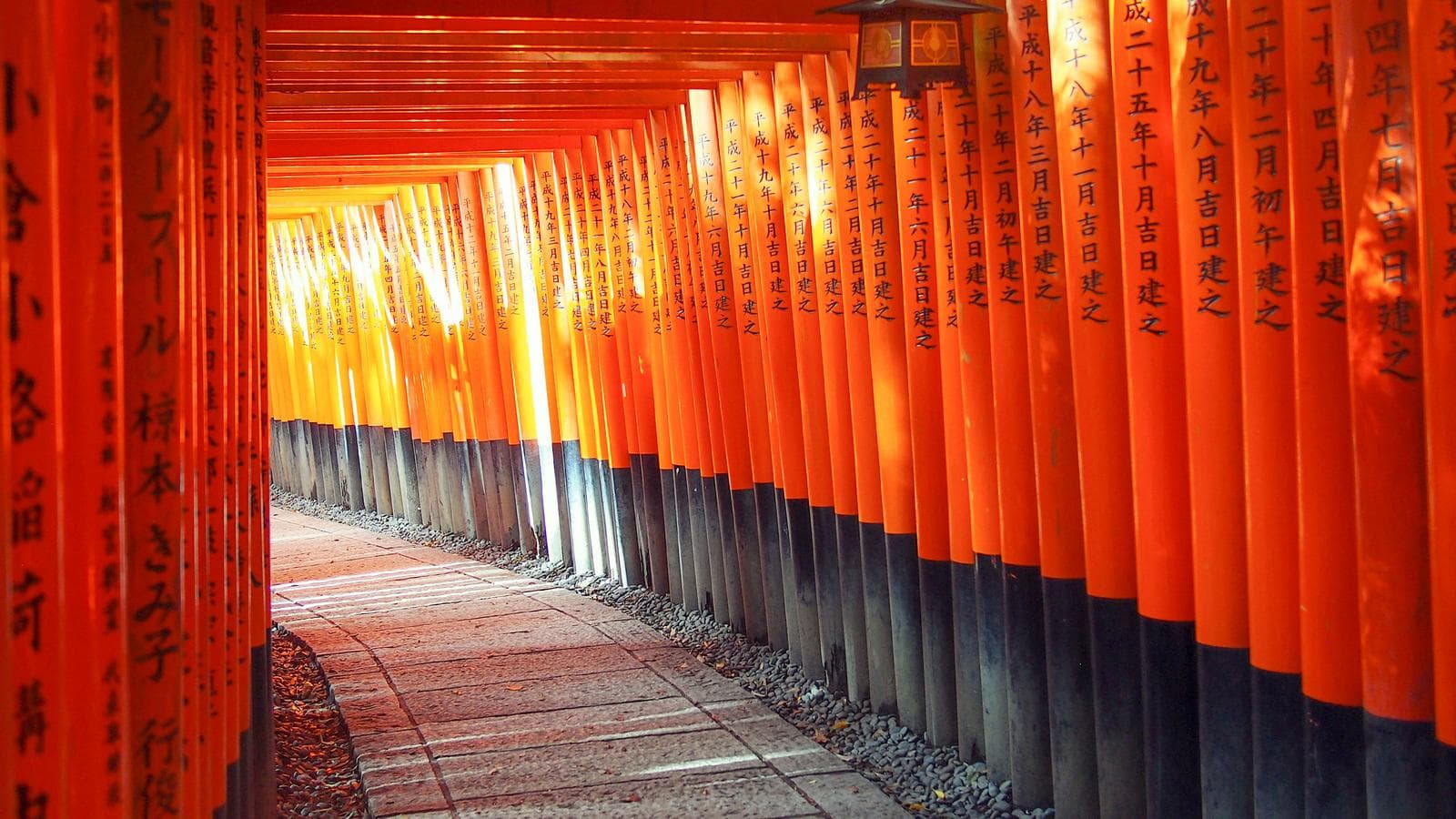 Banner image of Active Japan: Kyoto to Tokyo Island Hopping