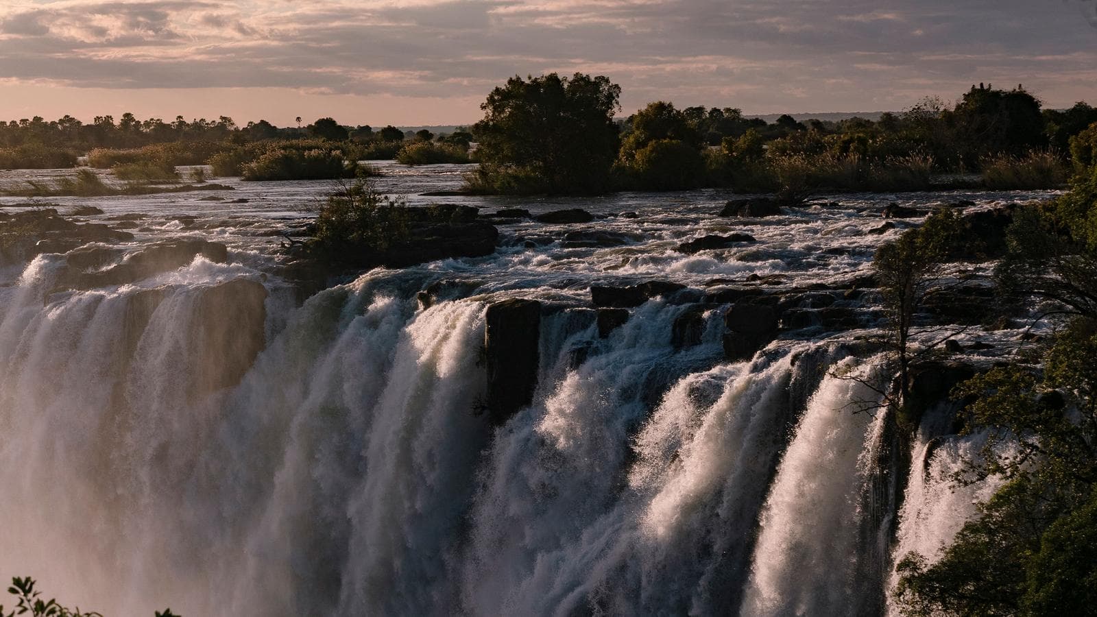 Banner image of Highlights of Botswana & Zimbabwe