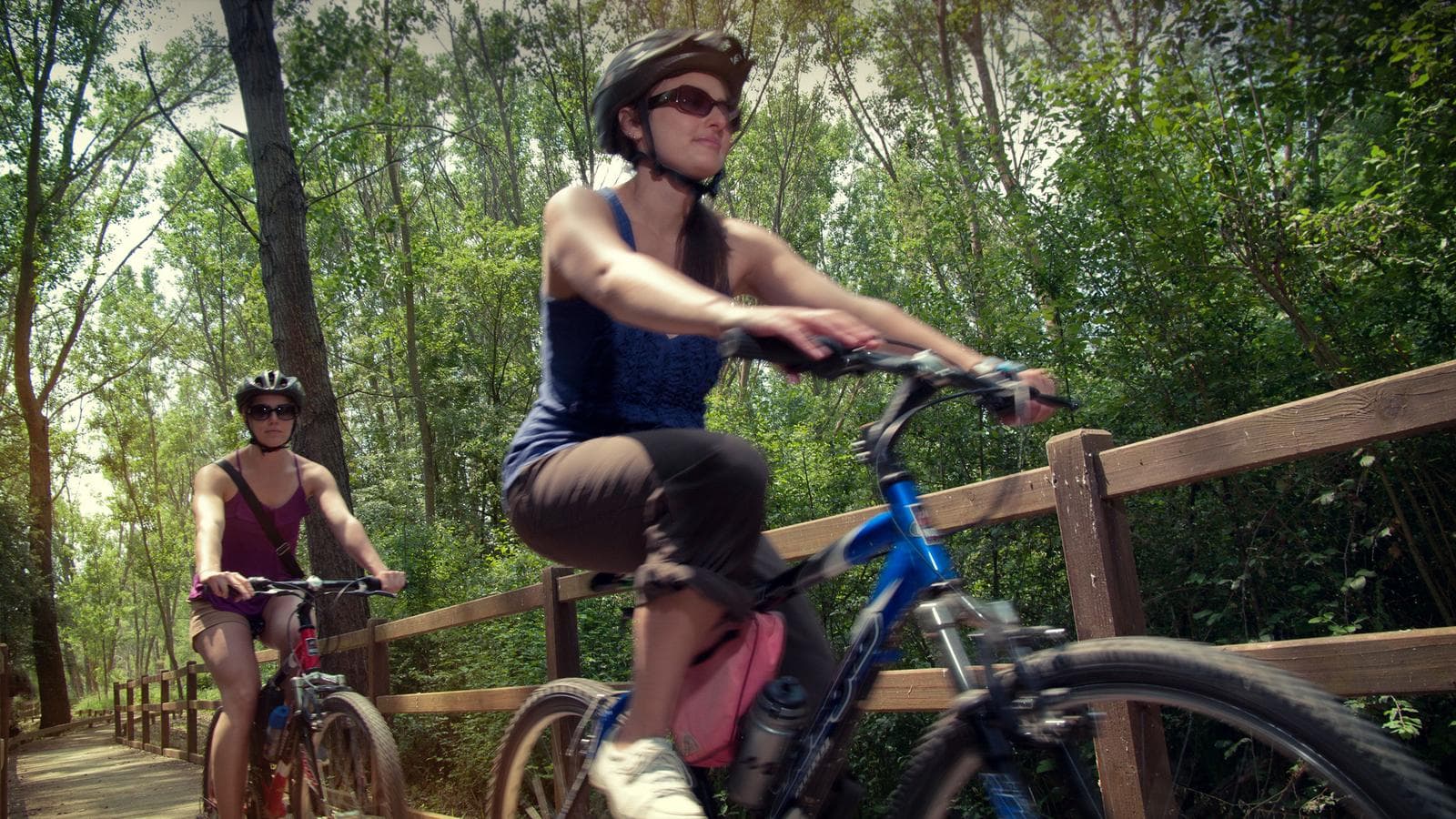 Banner image of Cycling in Tuscany