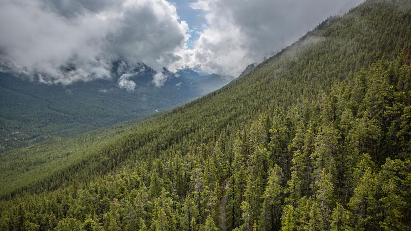 Banner image of Active West Coast & Canadian Rockies
