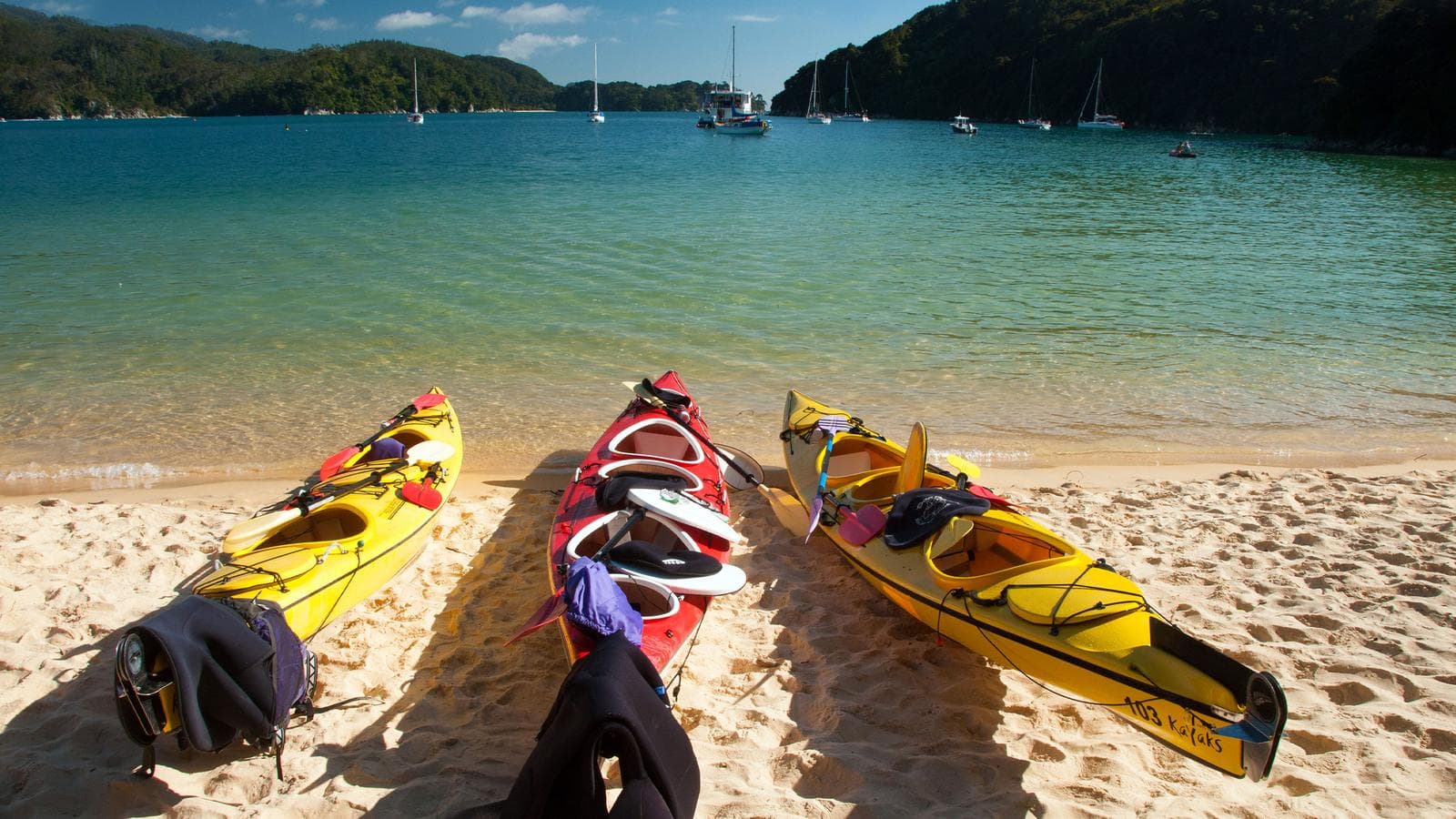 Banner image of Australia and New Zealand: Surfing Waves & The Whitsundays
