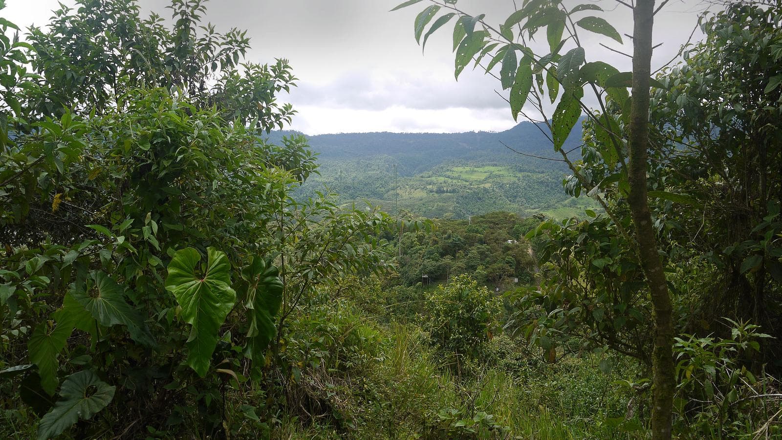 Banner image of La Selva Lodge - 4 Day Independent Adventure