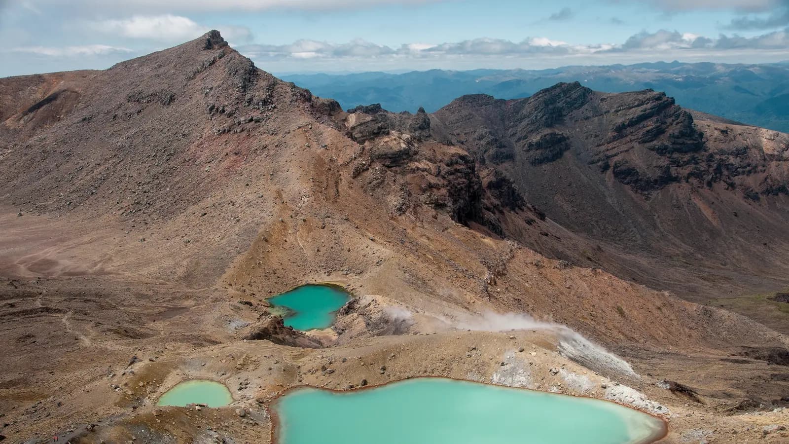 Banner image of New Zealand – North Island Multisport