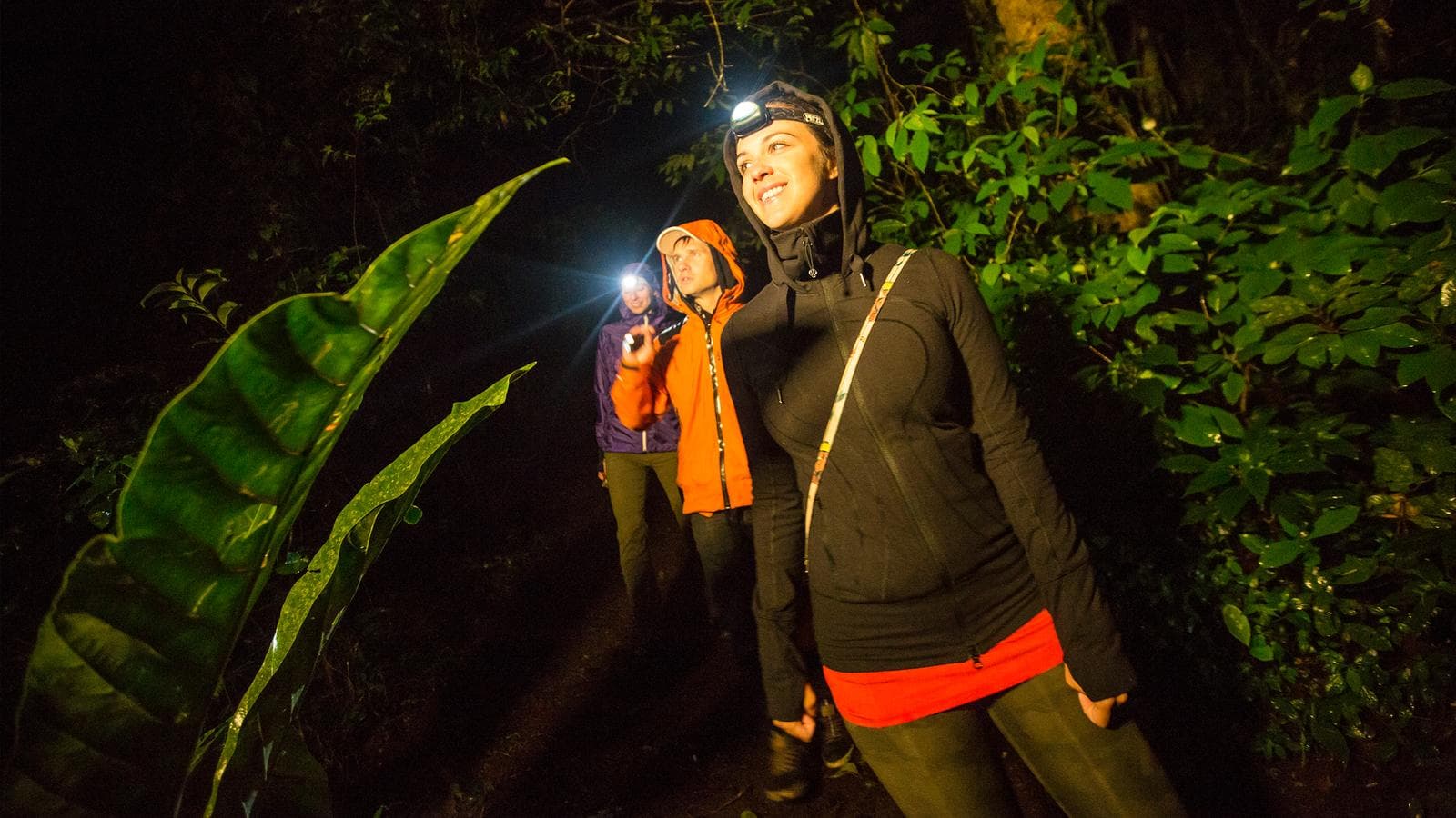 Banner image of Costa Rica Adventure — Plus
