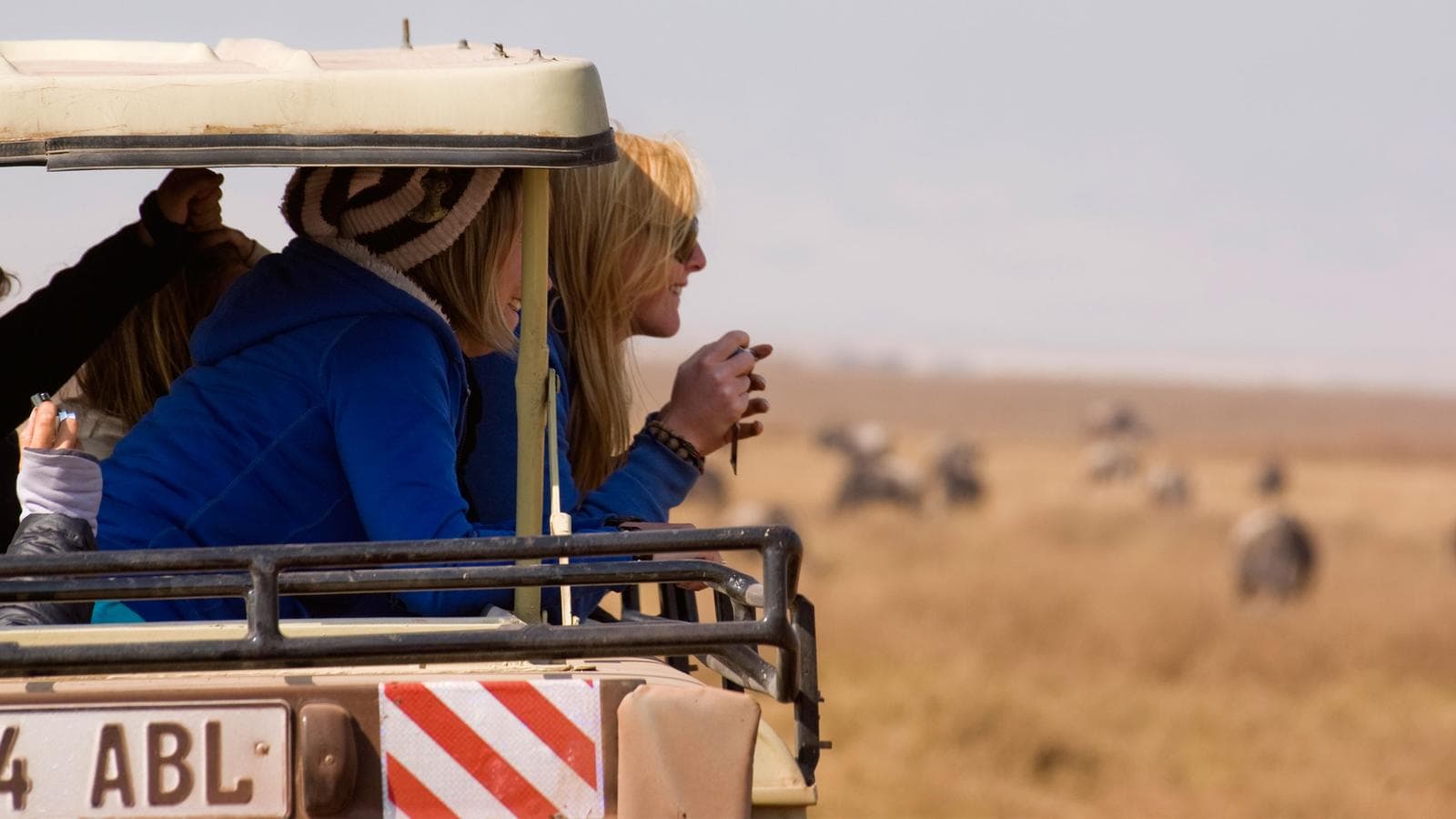 Banner image of Kenya Safari Experience