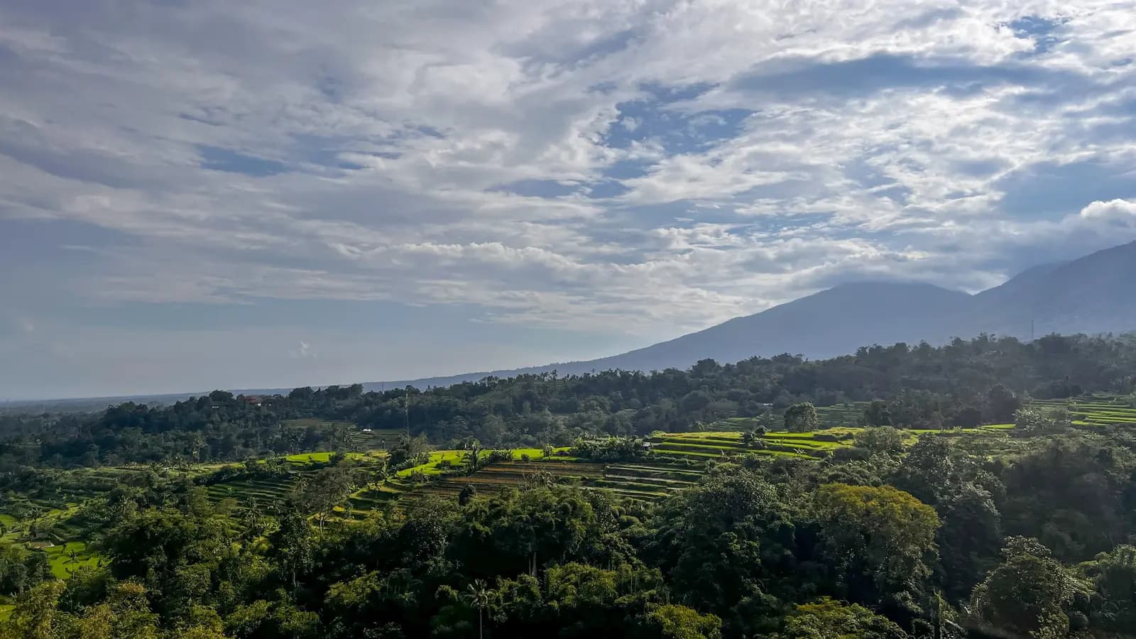 Banner image of Bangkok to Bali: Southeast Asia Unfiltered