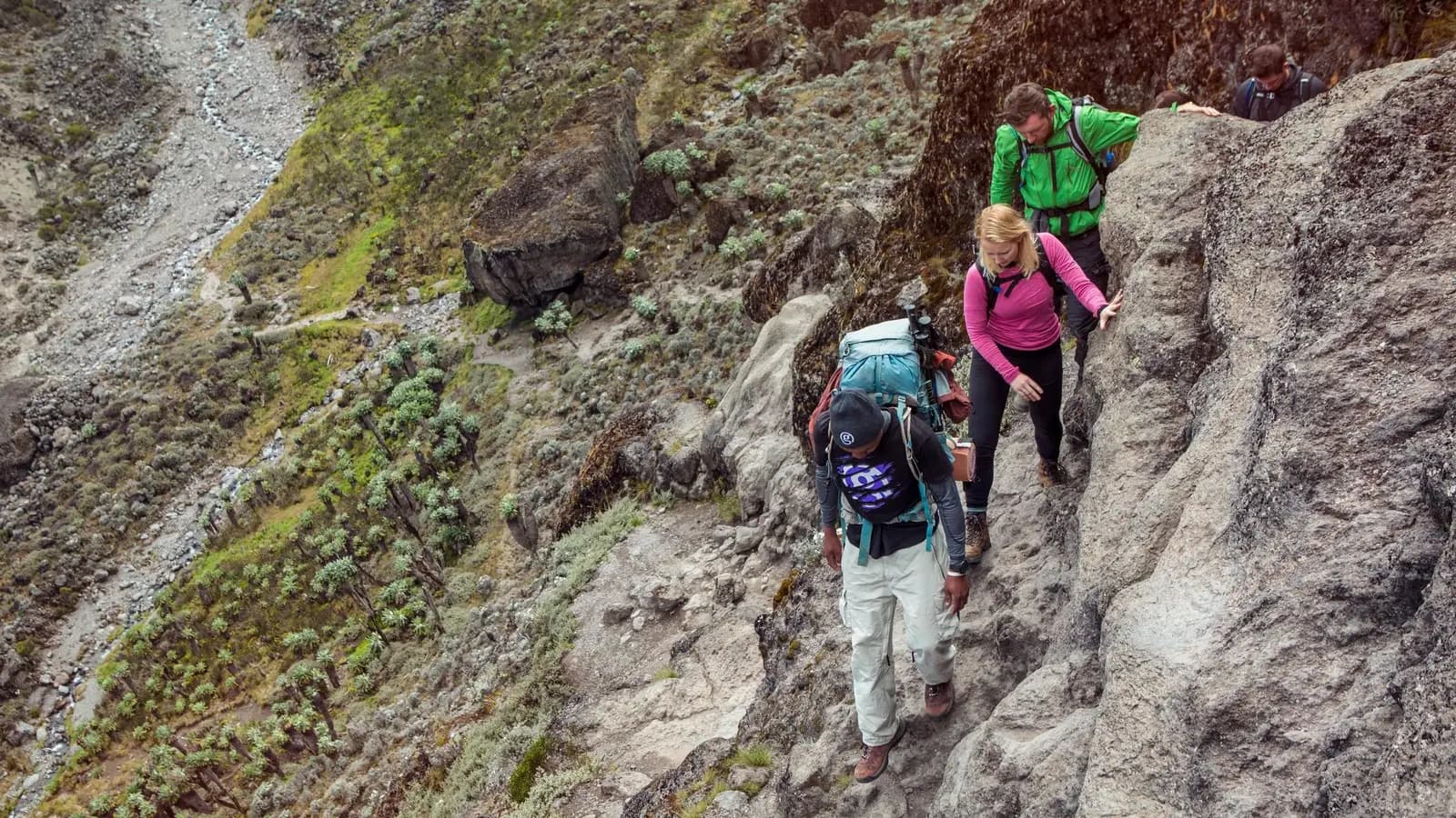 Banner image of Tanzania: Kilimanjaro's Lemosho Route & Serengeti Safari