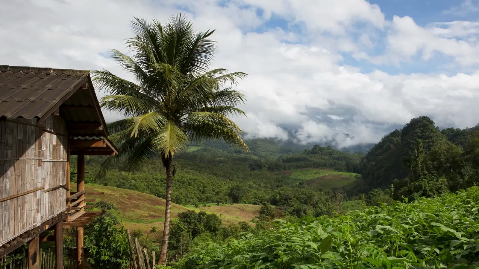 Banner image of Journeys: Treasures of Northern Thailand
