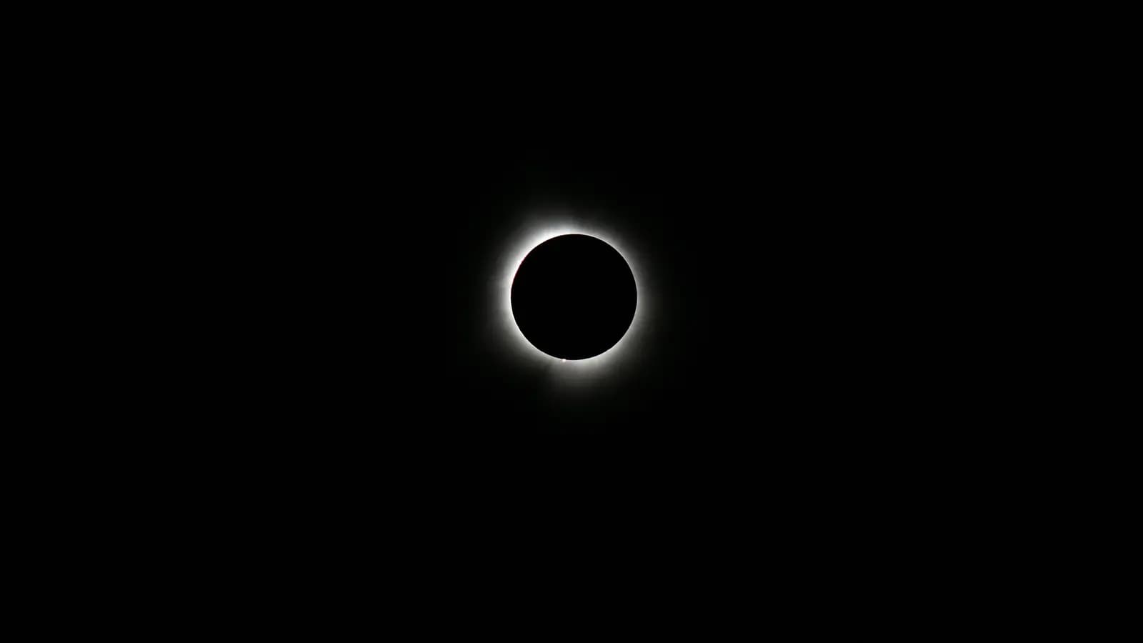 Banner image of Arctic Highlights: Solar Eclipse Edition