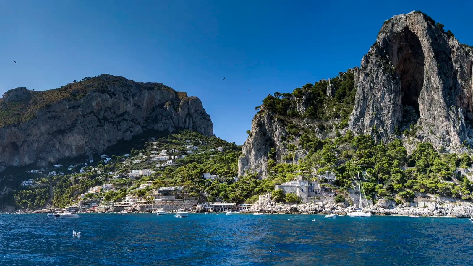 Banner image of Sailing the Amalfi Coast: Capri, Positano & Coastal Bliss