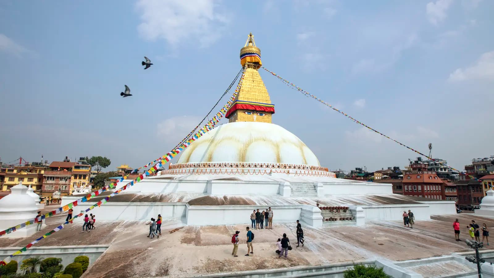 Banner image of Delhi to Kathmandu: River Walks & Epic Wildlife