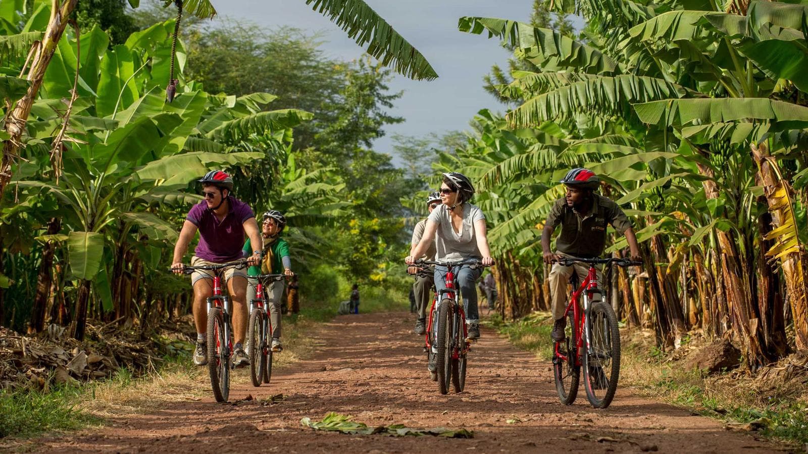 Banner image of Active Safari & Zanzibar Experience