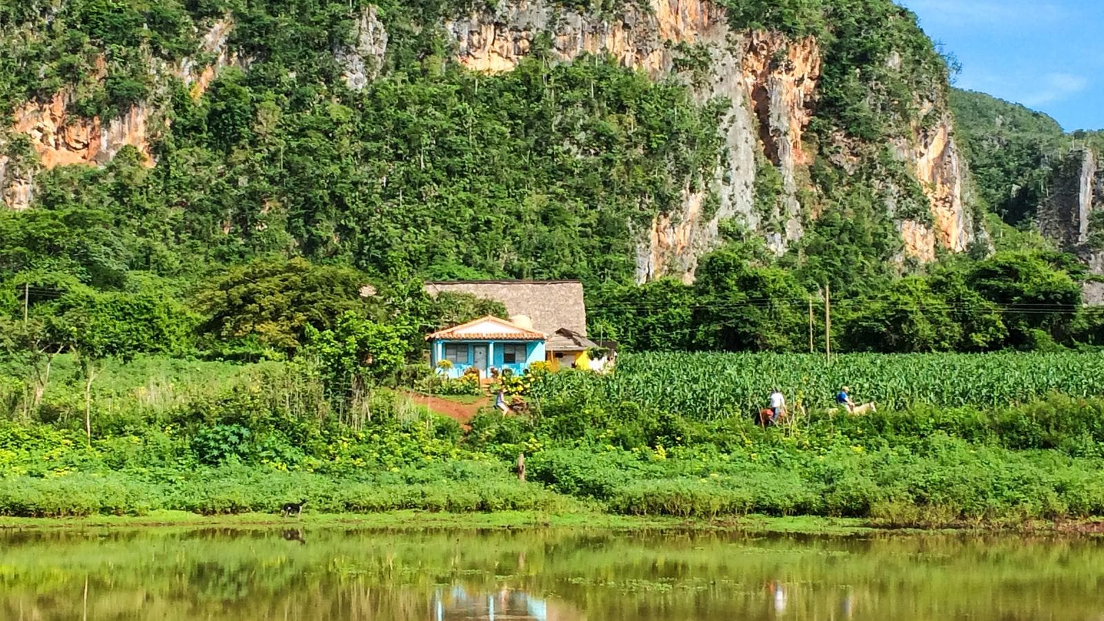 Banner image of Biking Cuba