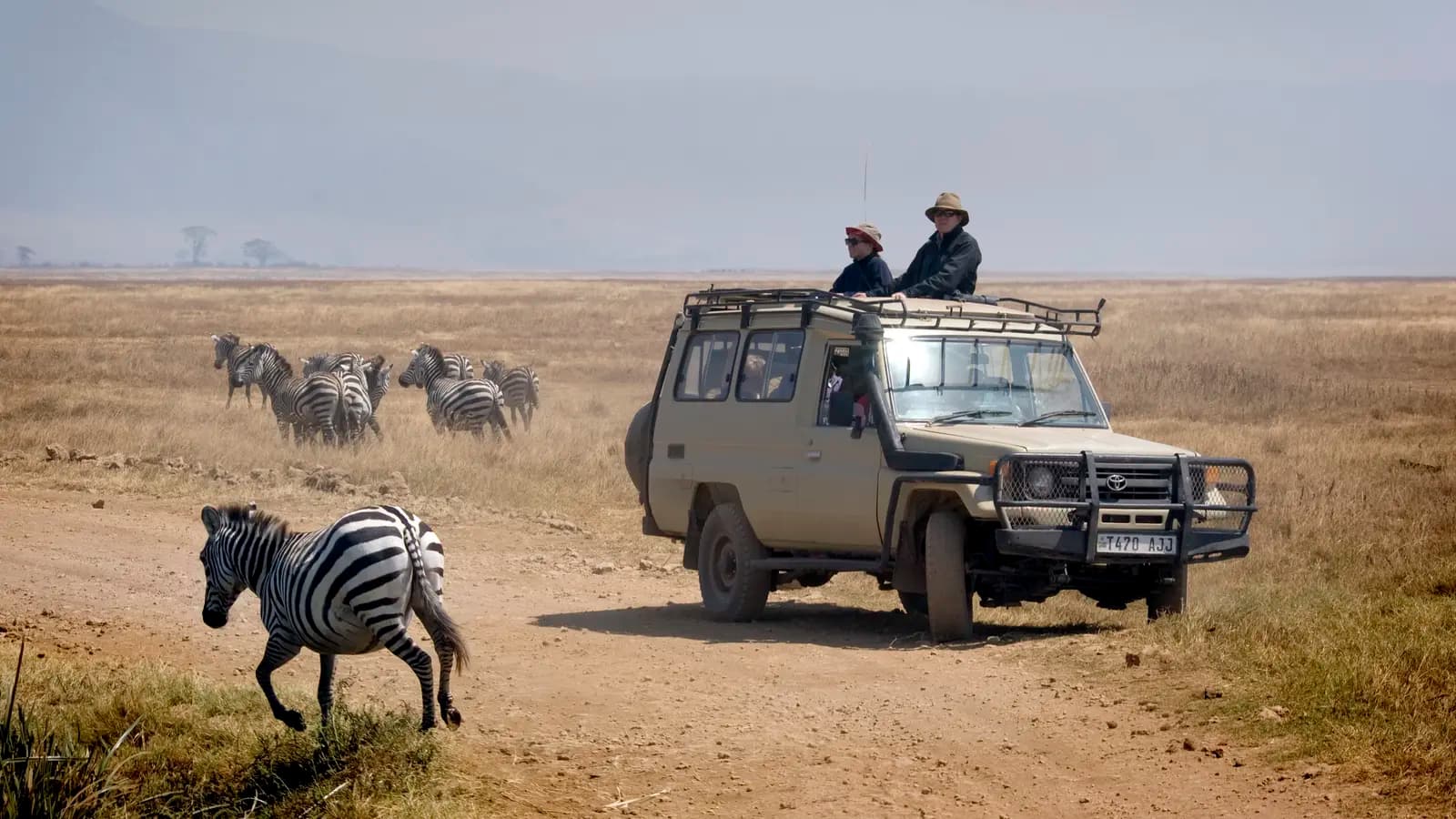 Banner image of Tanzania Uncovered: Wildlife of the Serengeti & Ngorongoro Crater