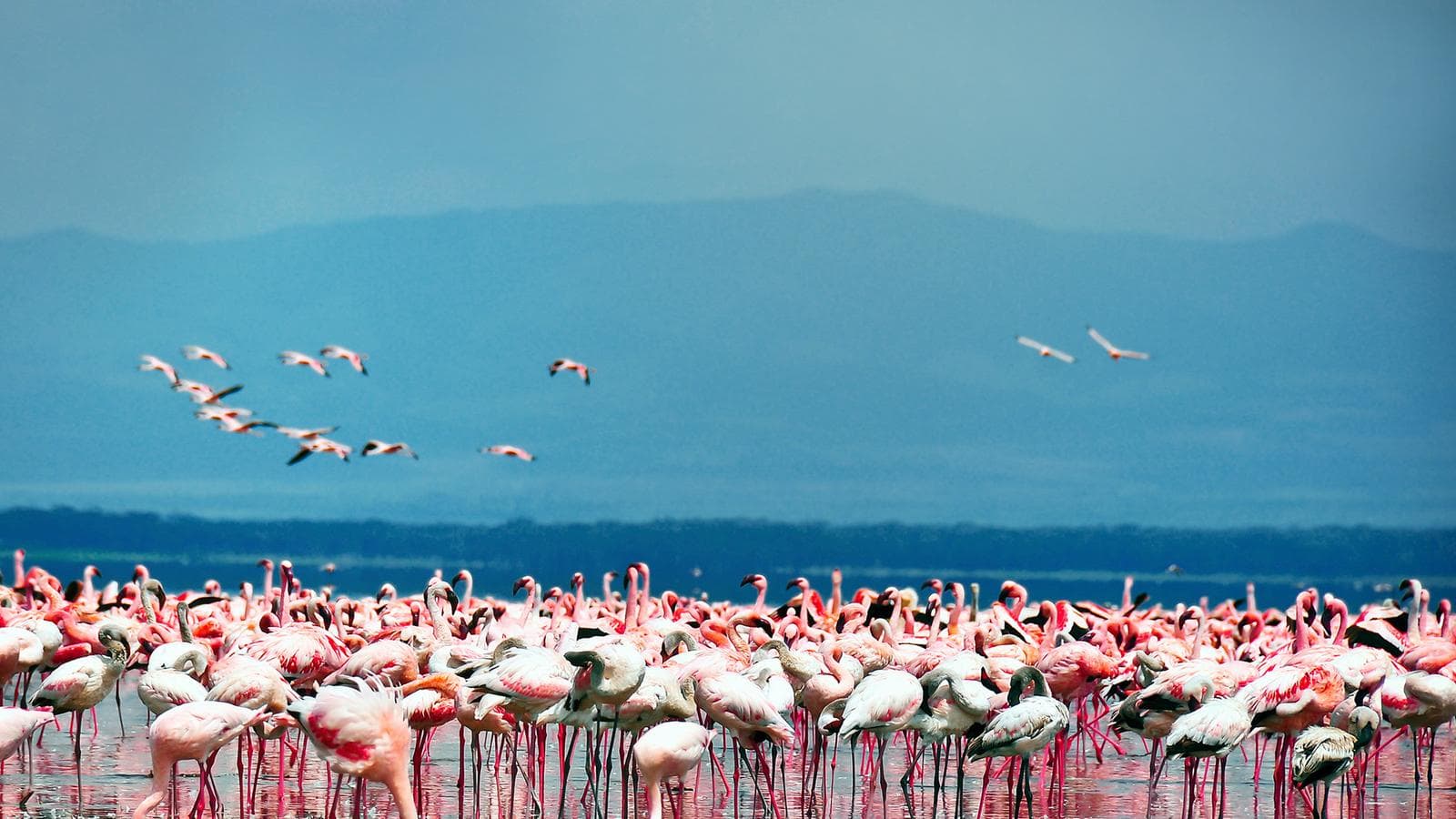 Banner image of Kenya Overland Adventure