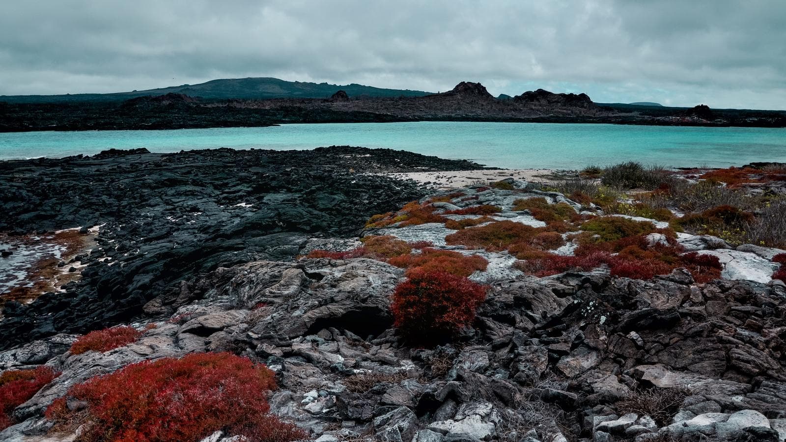 Banner image of Galápagos — North, Central & South Islands aboard the Estrella del Mar