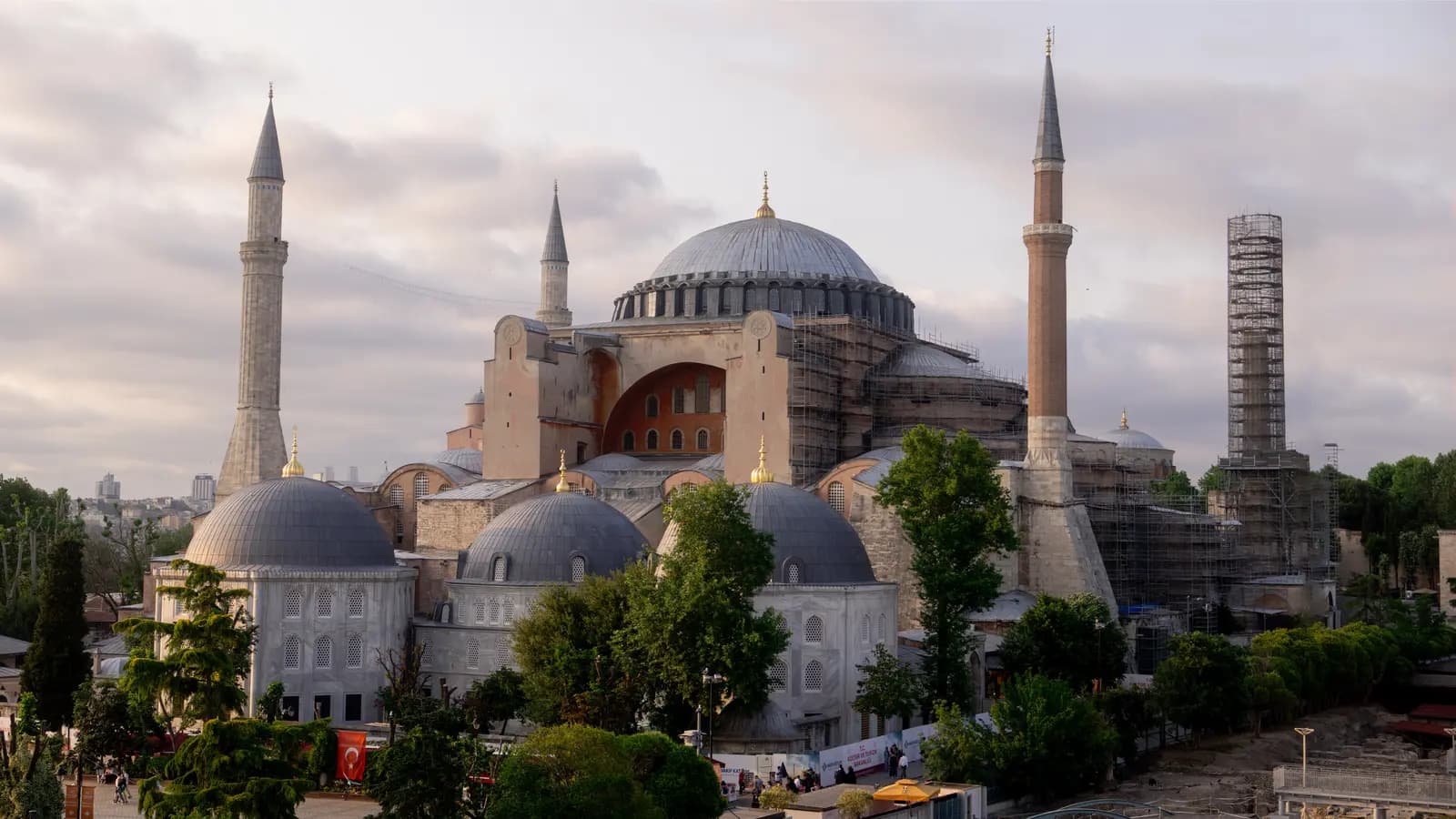 Banner image of Complete Turkey