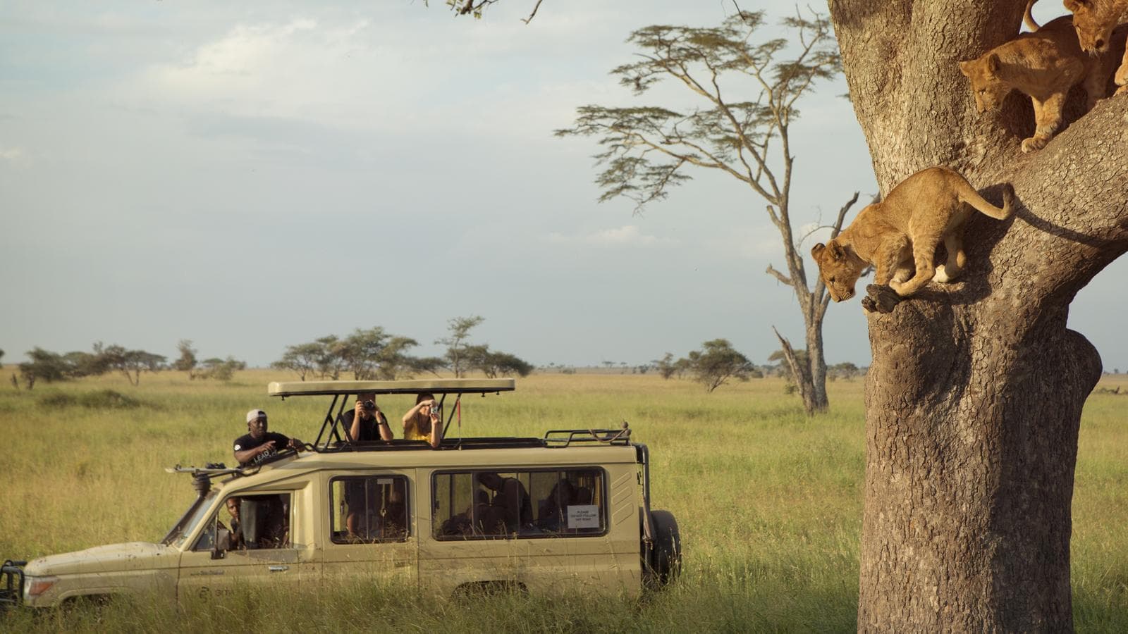 Banner image of Kenya & Tanzania Safari Experience