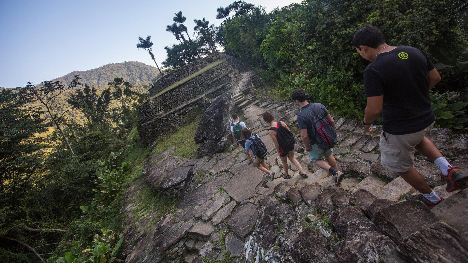 Banner image of Caribbean Adventure: the Lost City trek & Medellín